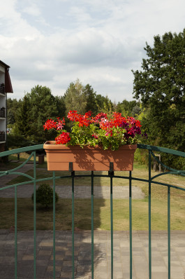 Filip Freytag Fotografie