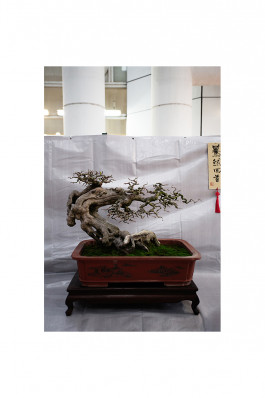 Filip Freytag Fotografie