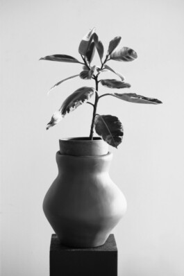 Filip Freytag Fotografie